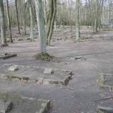 100-0004_img.jpg