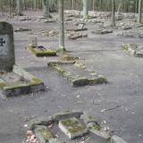 100-0005_img.jpg