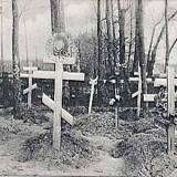 orlowen01.jpg