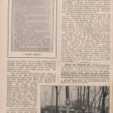 orlowo-zeitung.jpg