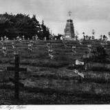 cm-10.jpg