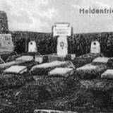 paprotki00.jpg