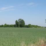 p5180008.jpg