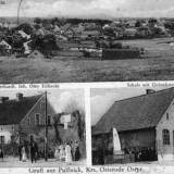 pulfnick01.jpg