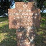 pieczarki02.jpg