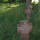 1185_pieczarki_ww1_20090705.jpg