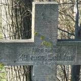 pisz-ros04.jpg