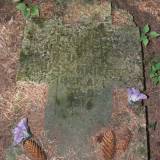 dscf0539.jpg