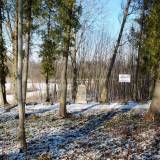 dscf6079.jpg