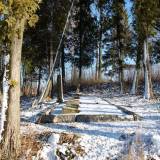 dscf6105.jpg