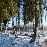 dscf6106.jpg