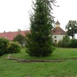 radzieje02.jpg