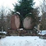 rogoz01.jpg