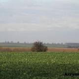 rudolfowo14.km1b.jpg