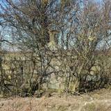 20180407_100819.jpg