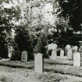 friedhof.jpg