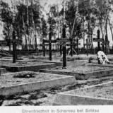 sarnowo04.jpg