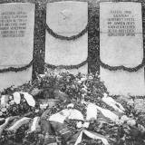 schippenbeil01.jpg