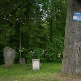 starejeglawki01.jpg