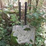 staswiny02.jpg
