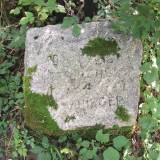 staswiny03.jpg