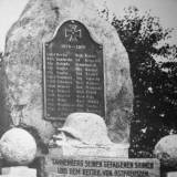 stebark03.jpg