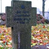 straduny02.jpg