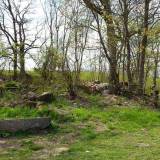 20160430_142843.jpg