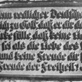bunelka04.jpg