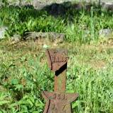 20170603_091537.jpeg