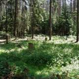 klassental07.jpg