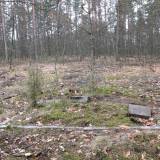 dscf6013.jpg