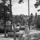 talusy01.jpg