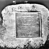 thalussen03.jpg