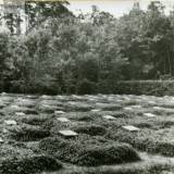 rettkau_uscianek_heldenfriedhof.jpg
