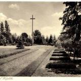 waplitz03.jpg