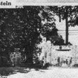 engelstein1.jpg