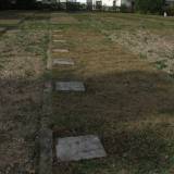 dscf0575.jpg