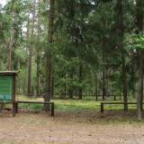 dscf0583.jpg