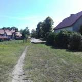 wierzbiny01.jpg