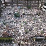 dscf7440.jpg