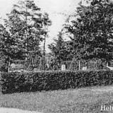 wilkasy01.jpg