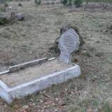 wilki01.jpg