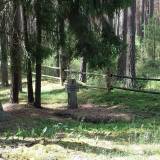20170610_140015.jpg
