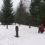 8102_zajdy_20090124.jpg