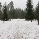 8106_zajdy_20090124.jpg