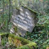 zalesie01.jpg