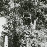 ehrenfriedhof_billau_zbyluty.jpg