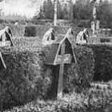 ehrenfriedhof02.jpg