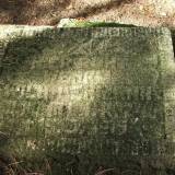 dscf0600.jpg